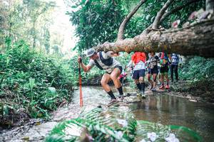 BIB: 
                            <button type="button" onclick="openModal(25452617)" class="btn btn-primary btn-sm float-right btn-popup" data-toggle="modal" data-target=".modal-high-quality">
                        <i class="fas fa-shopping-cart"></i> Add to Cart
                    </button>
                                            <button type="button" onclick="isThisMe(25452617, true)" class="btn btn-success btn-sm float-right btn-popup btn-isme hidden" data-toggle="tooltip" data-placement="bottom" title="นี่คือรูปของคุณใช่ไหม คลิกที่นี่เพื่อเอาเข้าอัลบั้ม">
                        <i class="fas fa-plus"></i> Add to album
                    </button>
                    <button type="button" onclick="isThisMe(25452617, false)" class="btn btn-warning btn-sm float-right btn-popup btn-isnotme hidden">
                        <i class="fas fa-ban"></i> Remove from album
                    </button>